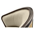Dark Brown Ash & Woven Rattan Tub Chair