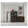 Circular Campaign Style Dark Santos Rosewood & White Stainless Steel Floor Lamp