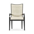 Fusion Arm Chair