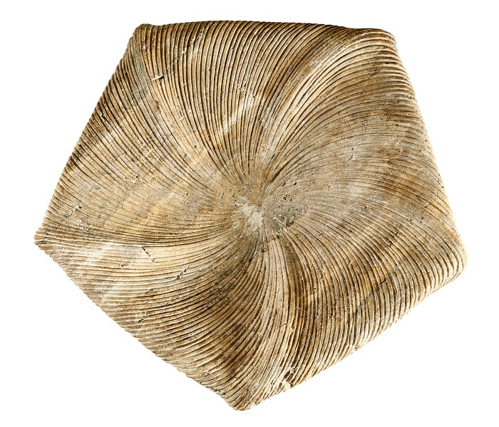 Water Leeward Carved Travertine Base 24