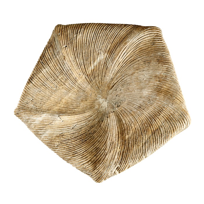 Water Leeward Carved Travertine Base 24