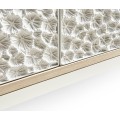 Cast Coral Server