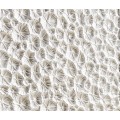 Cast Coral Server