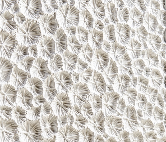 Cast Coral Server
