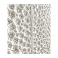 Cast Coral Server