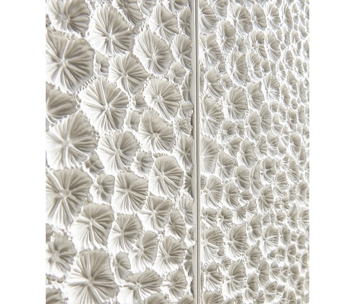 Cast Coral Server