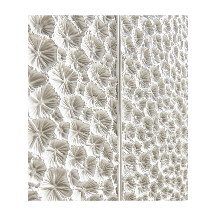 Cast Coral Server