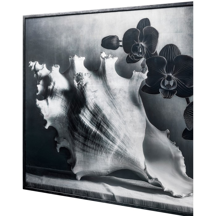 Silver Conch