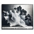Silver Conch
