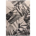 Palm Shadow