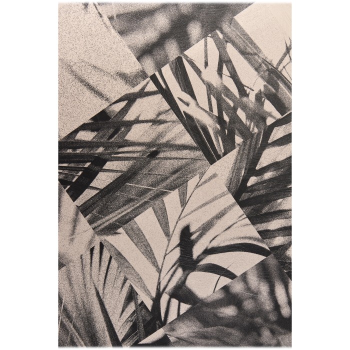Palm Shadow