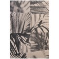 Palm Shadow