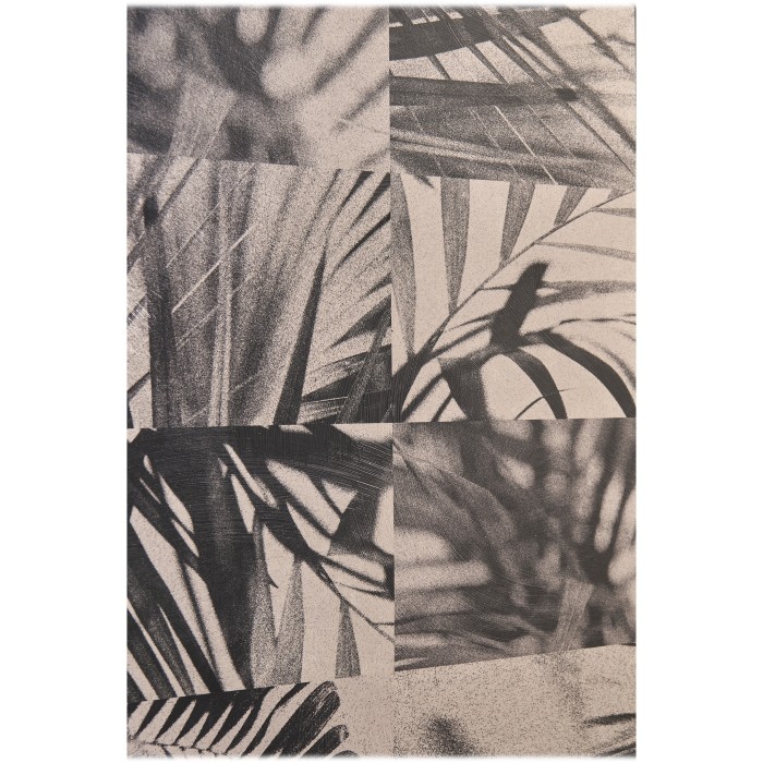 Palm Shadow