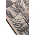 Palm Shadow