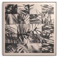Palm Shadow