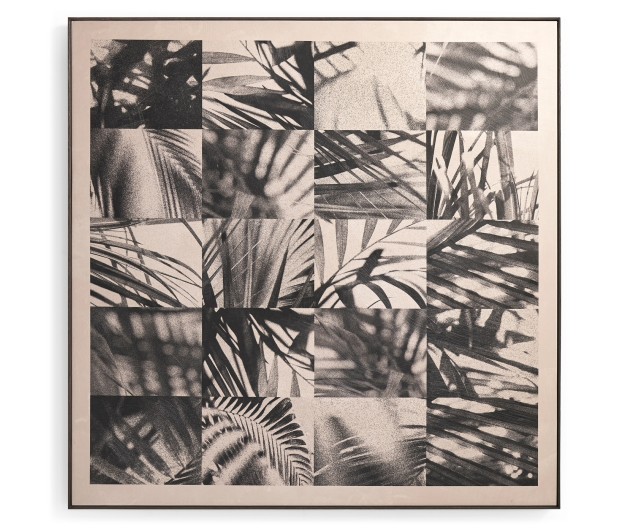 Palm Shadow