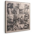 Palm Shadow
