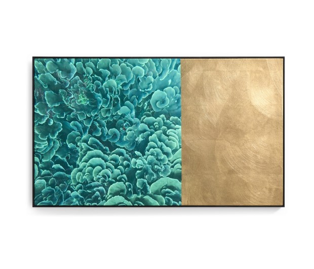 Emerald Coral