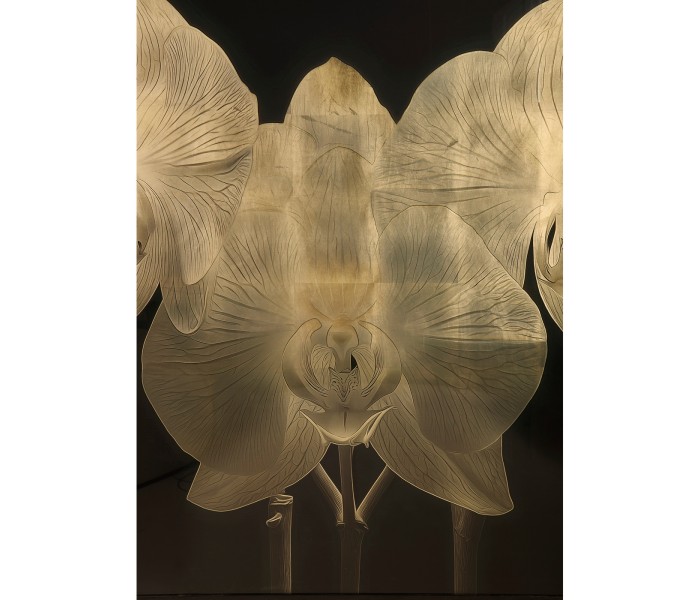 Gold Orchid