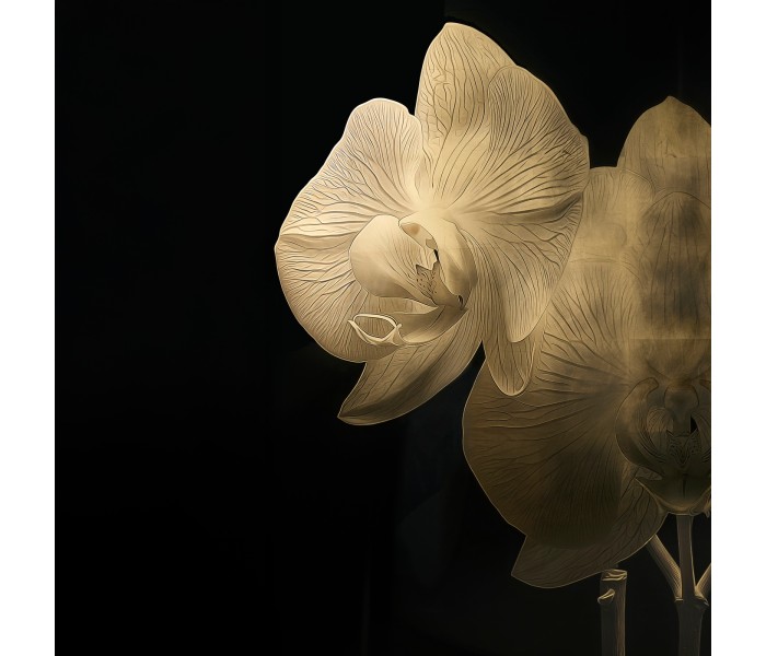 Gold Orchid