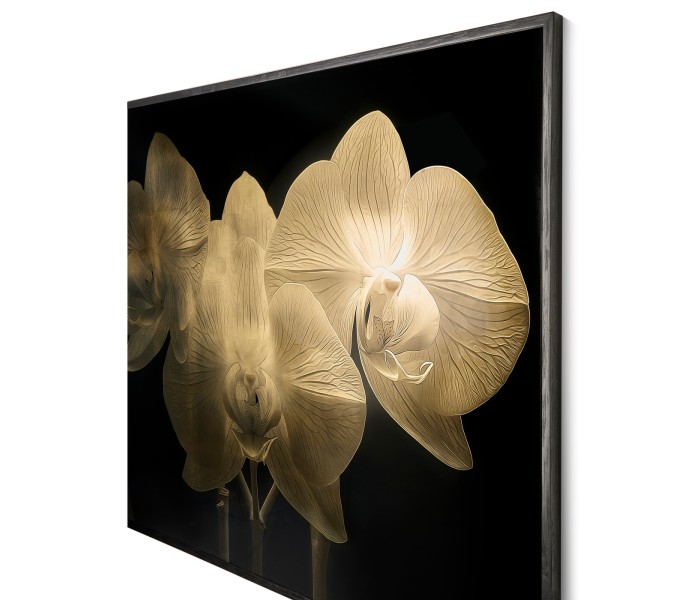 Gold Orchid