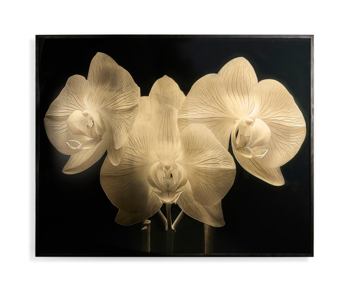 Gold Orchid