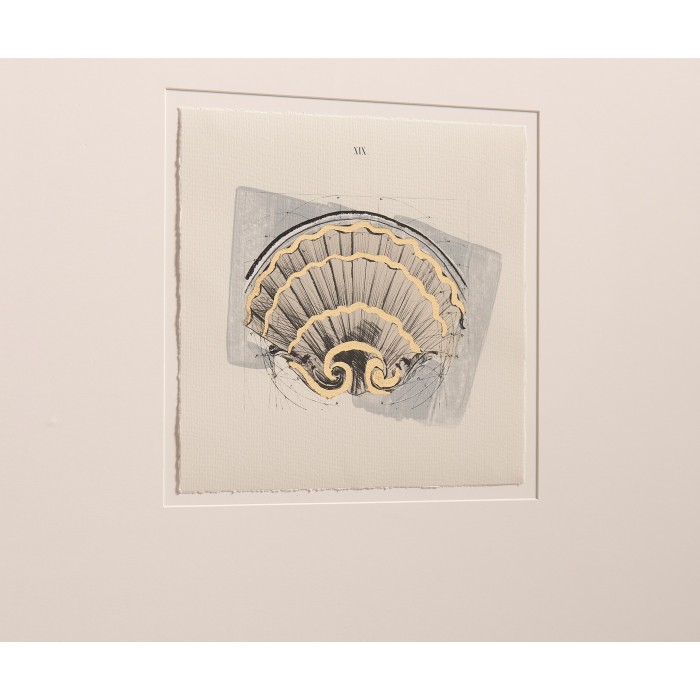 Architectural Clamshells - Set of 4