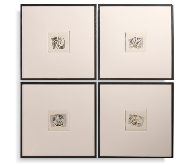 Architectural Clamshells - Set of 4