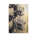 Black Orchids - Set of 2