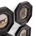 Noble Companions - Set of 8