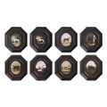 Noble Companions - Set of 8
