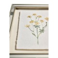 Petals and Process - Set of 6