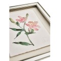 Petals and Process - Set of 6
