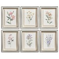 Petals and Process - Set of 6