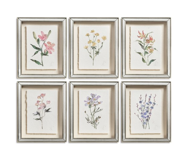 Petals and Process - Set of 6