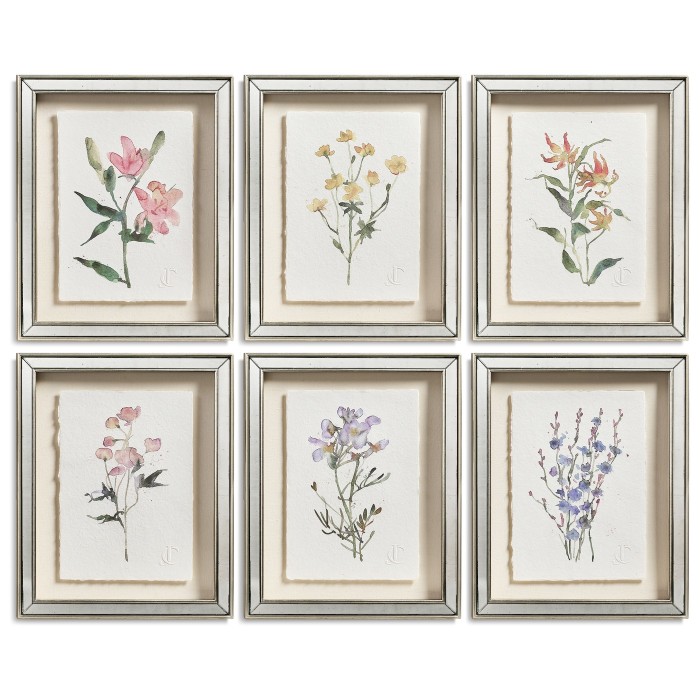 Petals and Process - Set of 6