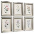 Petals and Process - Set of 6