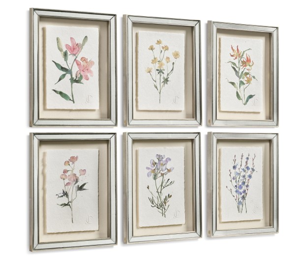 Petals and Process - Set of 6