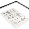 Botanica Knowledge - Set of 4