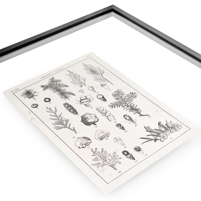Botanica Knowledge - Set of 4