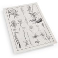 Botanica Knowledge - Set of 4