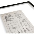 Botanica Knowledge - Set of 4