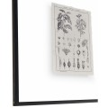 Botanica Knowledge - Set of 4