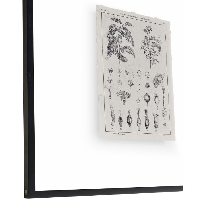 Botanica Knowledge - Set of 4