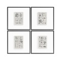 Botanica Knowledge - Set of 4