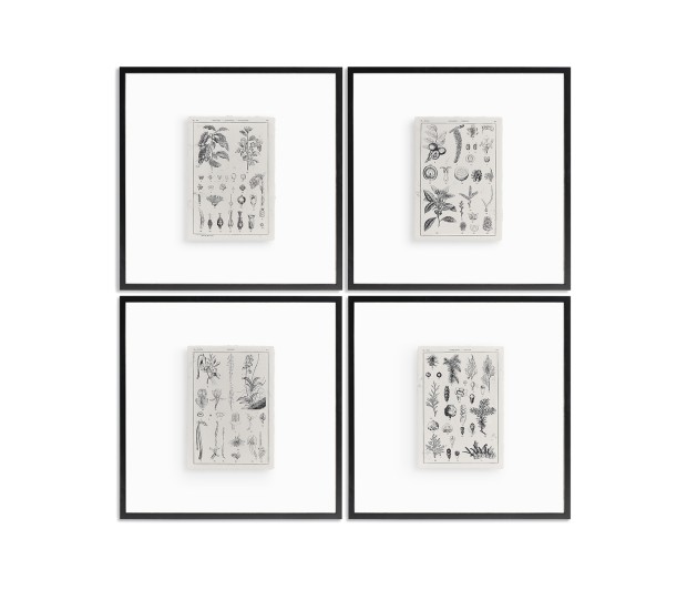 Botanica Knowledge - Set of 4