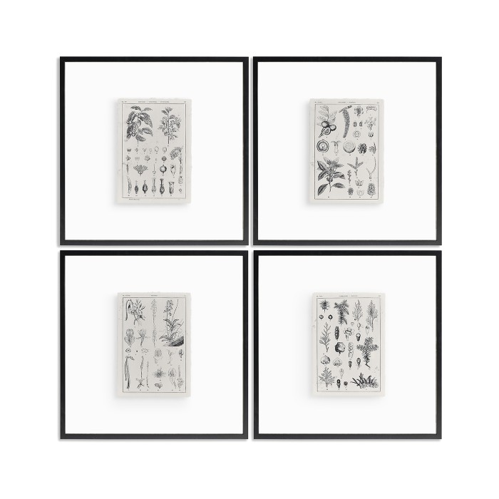 Botanica Knowledge - Set of 4