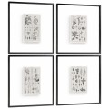 Botanica Knowledge - Set of 4