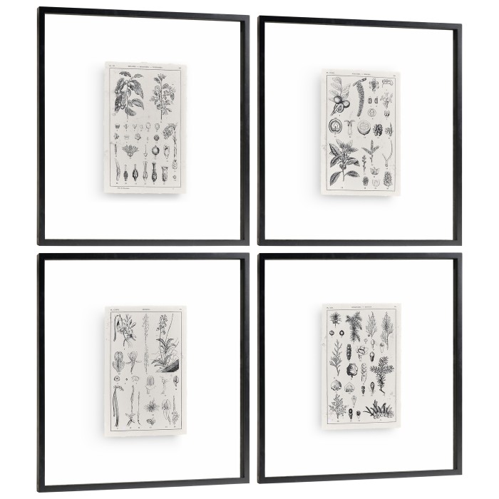Botanica Knowledge - Set of 4