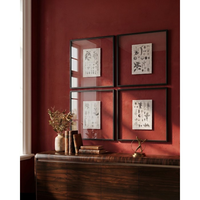Botanica Knowledge - Set of 4
